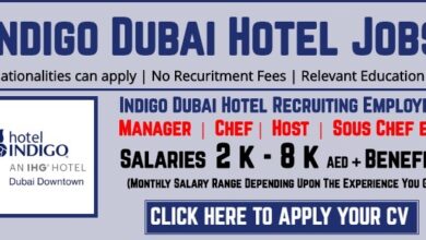 Indigo Dubai Jobs 1