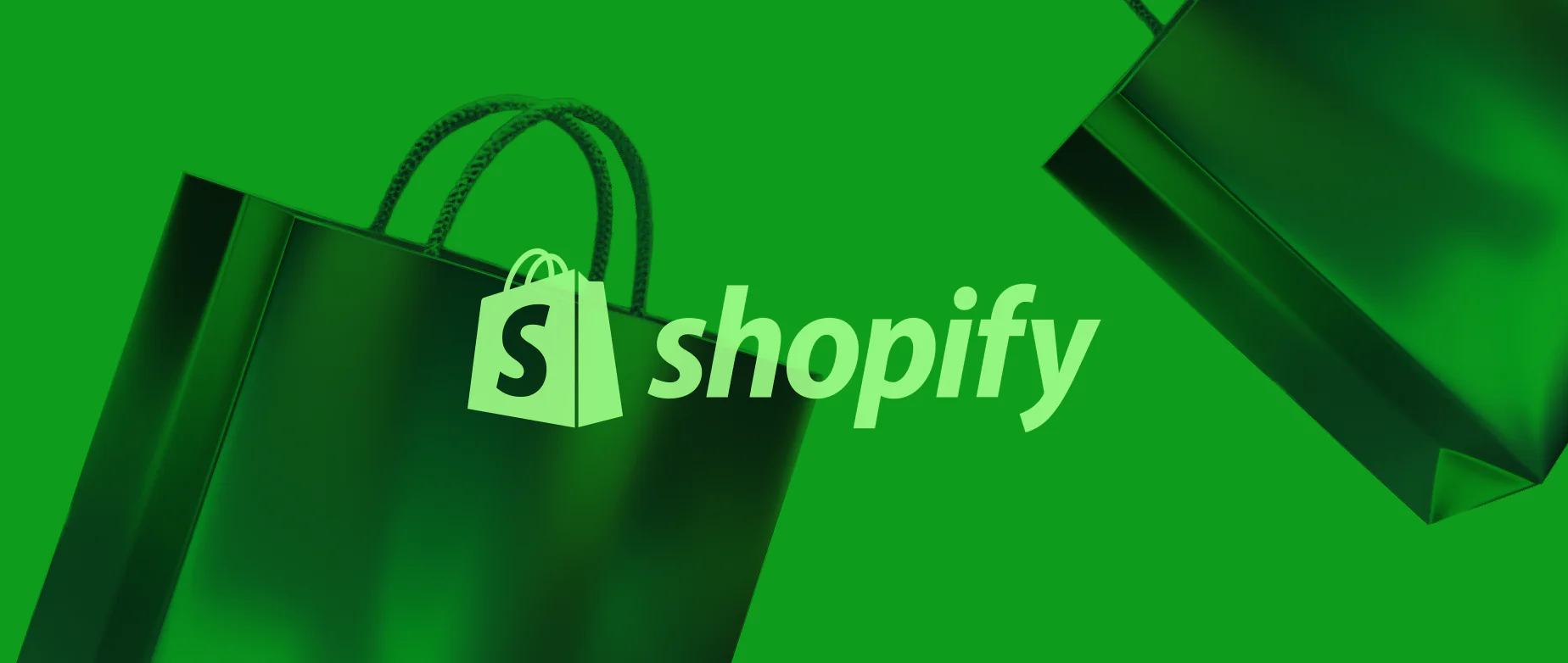 shopify 20stores