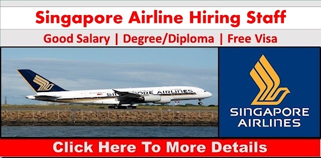 Singapore Airline Careers 2025 | Singapore Airline Job Vacancies 1 singapore airline careers