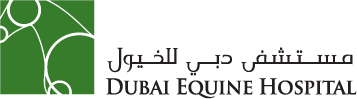 Dubai Equine Hospital Careers – Apply Right Now 2025 1 download 7