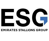 Emirates Stallions Group – Career Opportunities 1 Emirates Stallions Group Careers 200x165 1