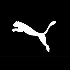 PUMA Group Careers – Where Sports Freaks and Style Geeks Collide 1 download 1