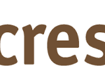 The Crescent Textile Mills