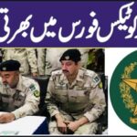 Anti Narcotics Force Jobs 2025 4 Anti Narcotics Force