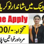 Bank of Punjab BOP