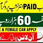 Latest Jobs in Pakistan –karachistartups.com 4 CM Punjab