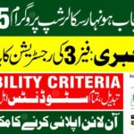 Chief Minister Punjab Honhaar Scholarship Program 4 Chief Minister