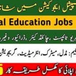 Directorate General Of Special Education Punjab Jobs 4 Directorate General