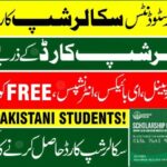 Hunarmand Punjab Scholarship Card Online Registration 4 Hunarmand Punjab Scholarship