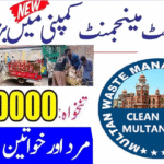 MWMC