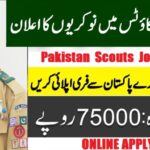 Pakistan Scouts