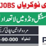 Pakistan Single Window PSW