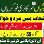 Punjab Cattle Market Management & Development Company Jobs 4 Cattle Market Management