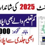 Chief Minister Inspection Team Jobs
