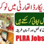 Punjab Land Records Authority PLRA Jobs 4 PLRA
