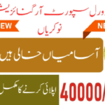 SRSO Jobs 2025 Online Apply Sindh 4 SRSO