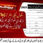 School Teacher Interns STIs Jobs 4 School Teacher Interns STIs