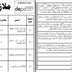 Sindh Institute