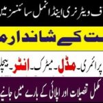 University of Veterinary and Animal Sciences UVAS Jobs 4 University of Veterinary and Animal Sciences UVAS