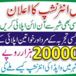 WAPDA Internship Program 4 WAPDA Internship