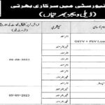 Women University Multan WUM Jobs 4 Women University