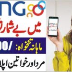 Zong Jobs