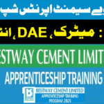 Bestway Cement