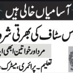 Latest Jobs in Pakistan –karachistartups.com 6 FBR Sepoy