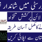 NUMS University