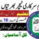 Punjab Daanish School Jobs 4 Punjab Daanish School
