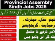 Provincial Assembly Jobs 2026 for BPS-01 to BPS-15 Vacancies Advertisement Provincial Assembly Jobs