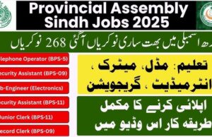 Provincial Assembly Jobs 2026 for BPS-01 to BPS-15 Vacancies Advertisement Provincial Assembly Jobs